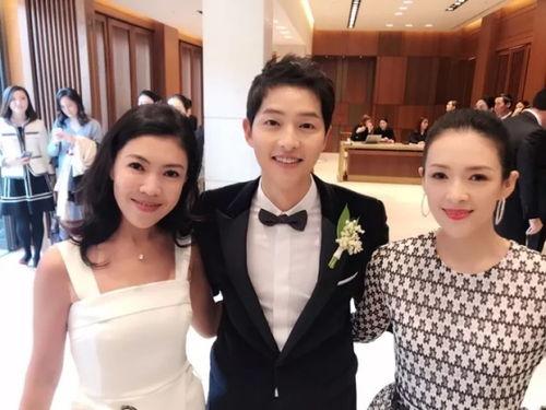 双宋结婚爆料视频大全下载,甜蜜瞬间大盘点  第3张